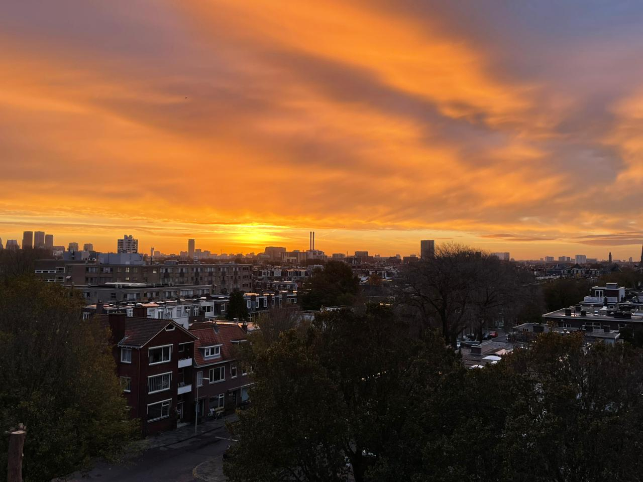 Appartement incroyablement lumineux de deux chambres au bord de la forêt et des plages