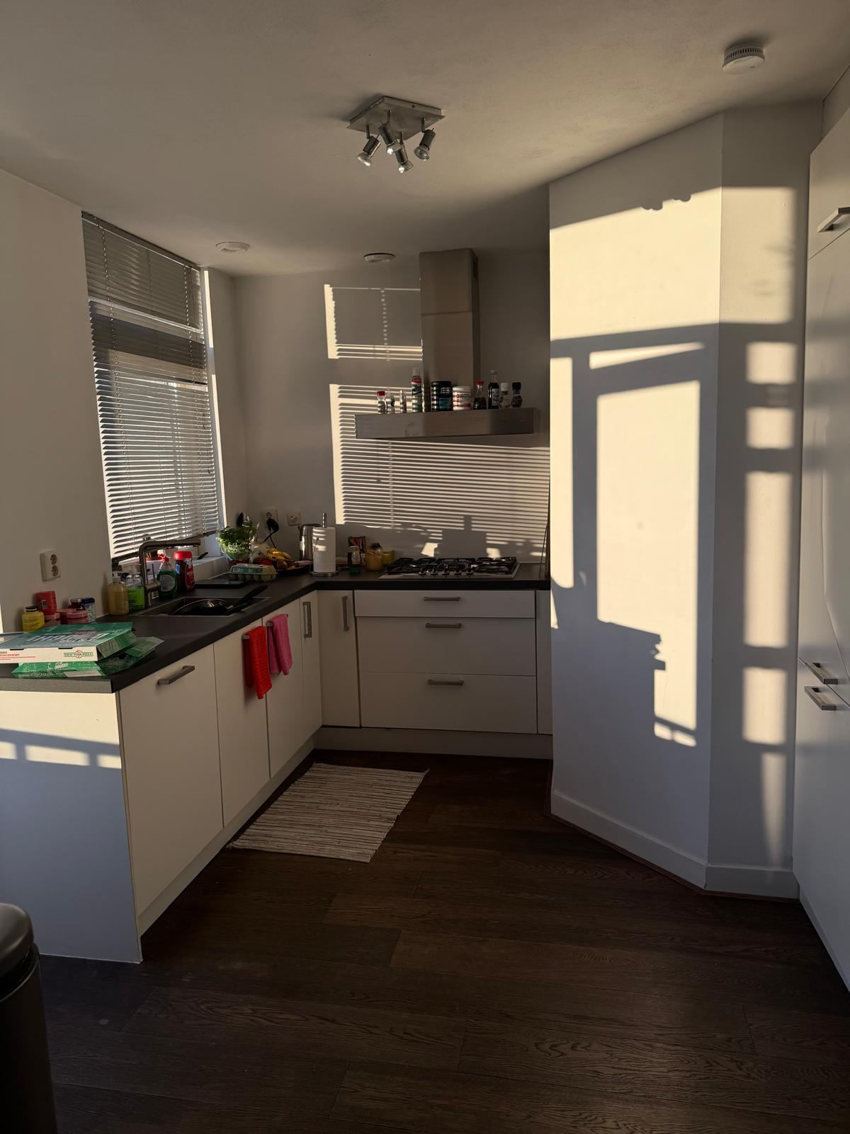 Magnifique appartement naturel à aire ouverte d’une chambre à Amsterdam