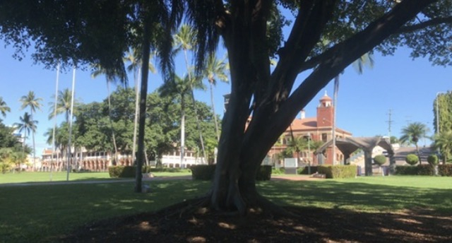 Appartamento nel centro di Townsville. Vicino alla città. Porta d'accesso all'Isola Magnetica e alla Grande Barriera Corallina