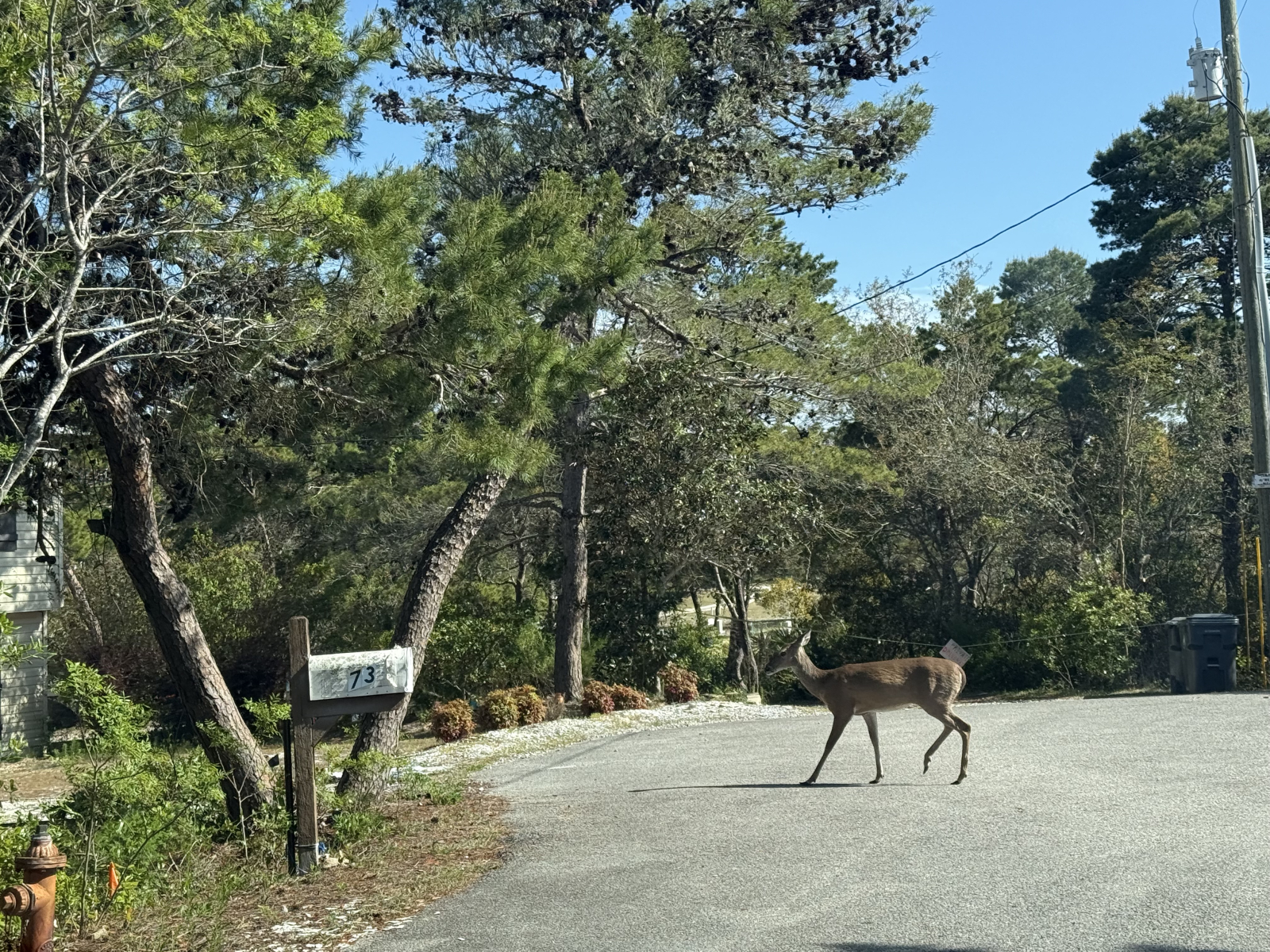 Beautiful family home walking distance to the emerald coast