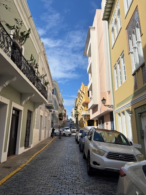 Tropisch dak Leven In het Hart van Oud San Juan