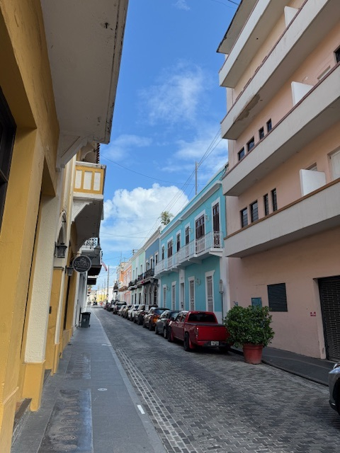 Tropisch dak Leven In het Hart van Oud San Juan