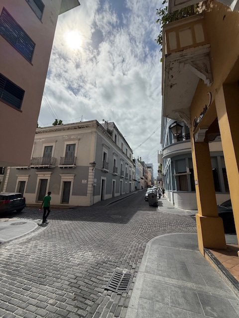 Tropisch dak Leven In het Hart van Oud San Juan