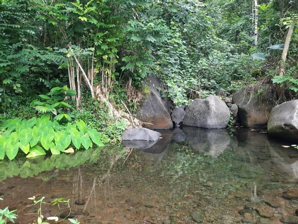 Unabhängiges Gästehaus mit Zugang zum Pool – Matatia Valley, Tahiti