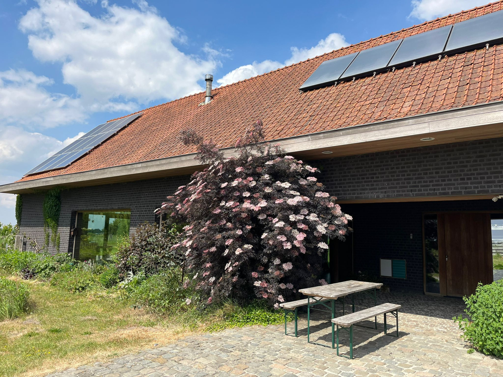 Ruim ecohuis met 2,5 hectare wilde tuin met zwemvijver en vatsauna