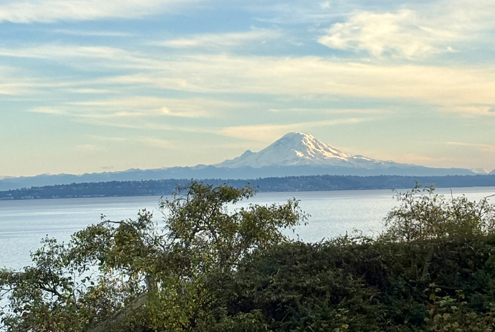 Nieuw huis met uitzicht op het water van Puget Sound en het centrum van Seattle