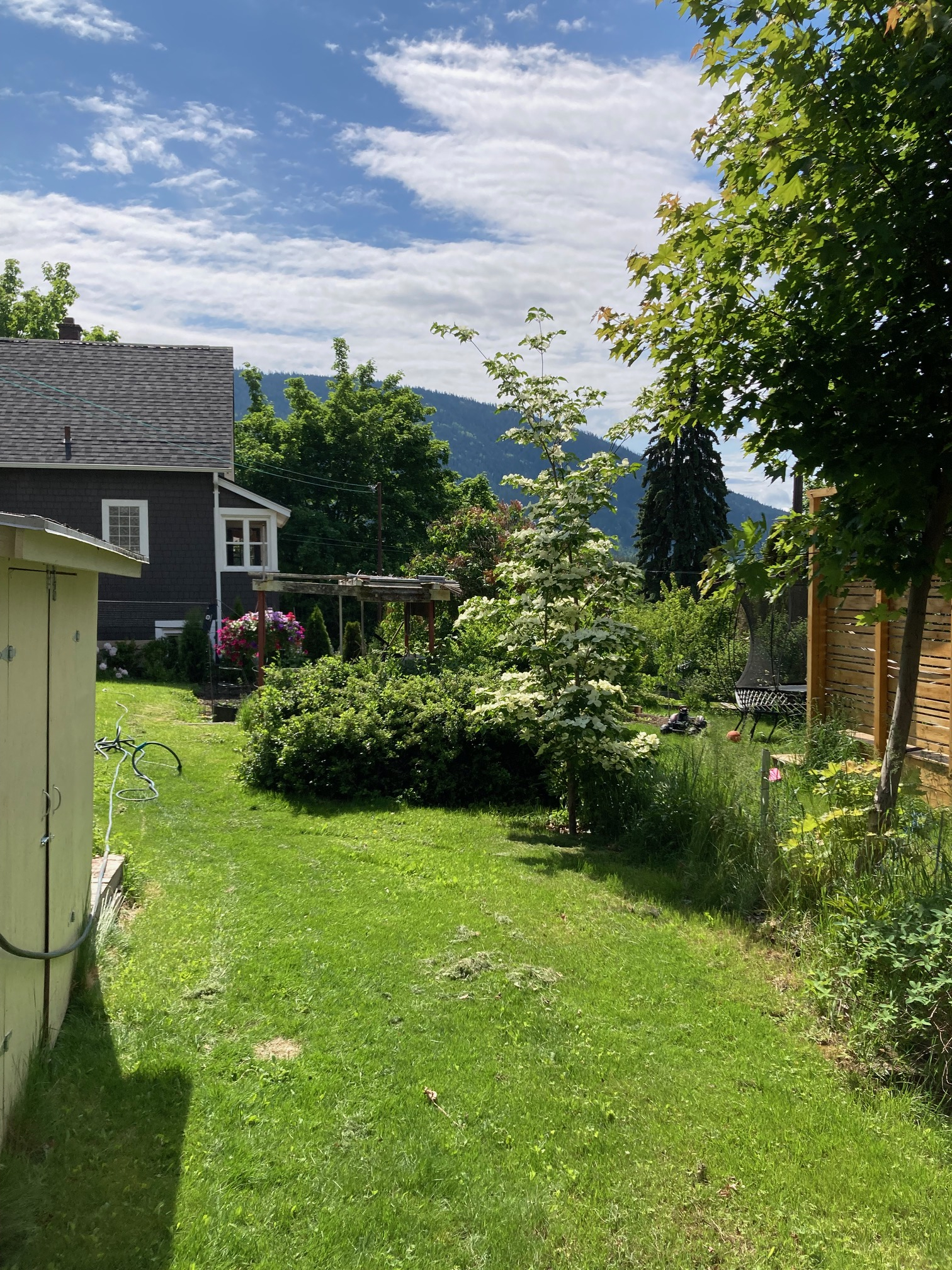 Charming character home within walking distance to the historic downtown Nelson