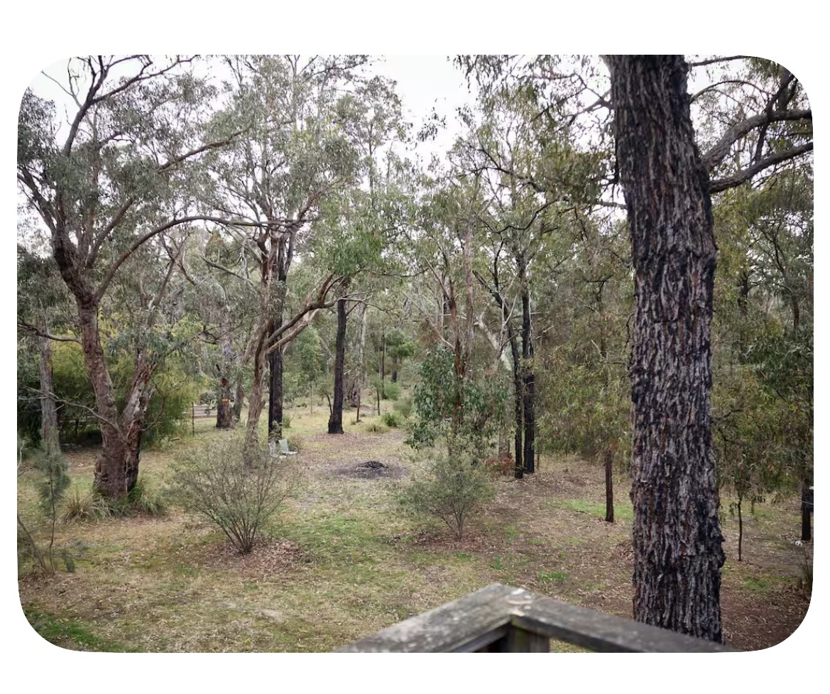Beach, Bush, Bliss