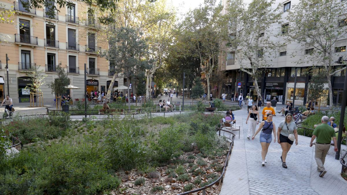 Ideal apartment to visit Barcelona