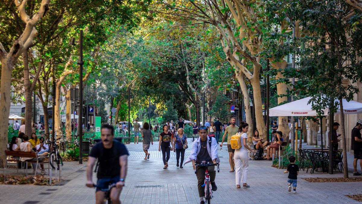 Ideal apartment to visit Barcelona