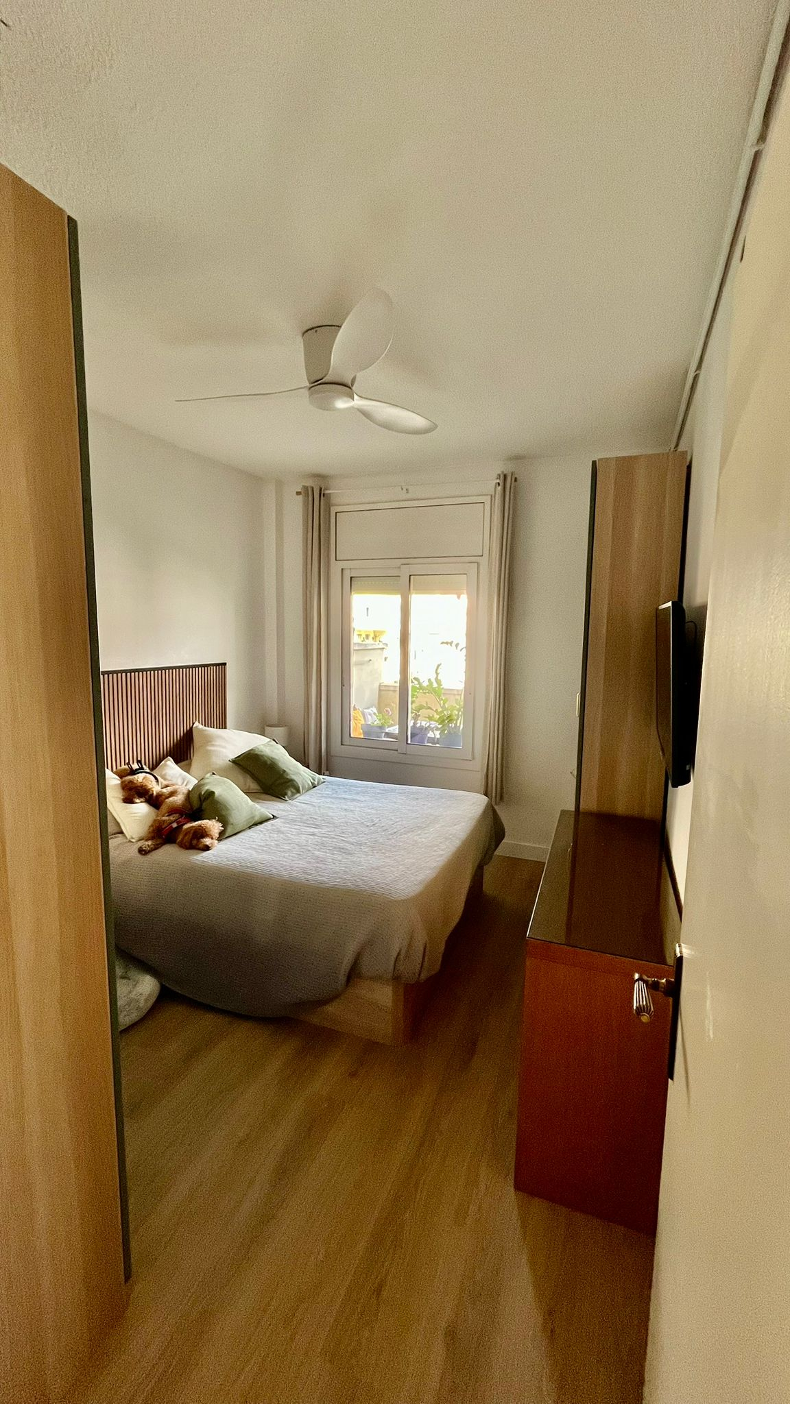 Ideal apartment to visit Barcelona