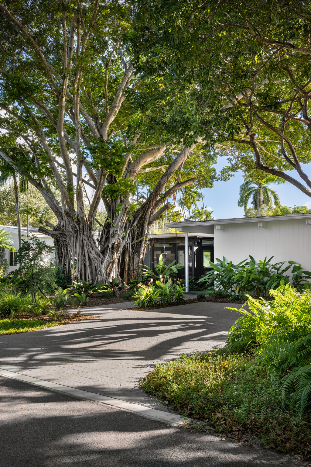 Pinecrest Tropical Home with pool