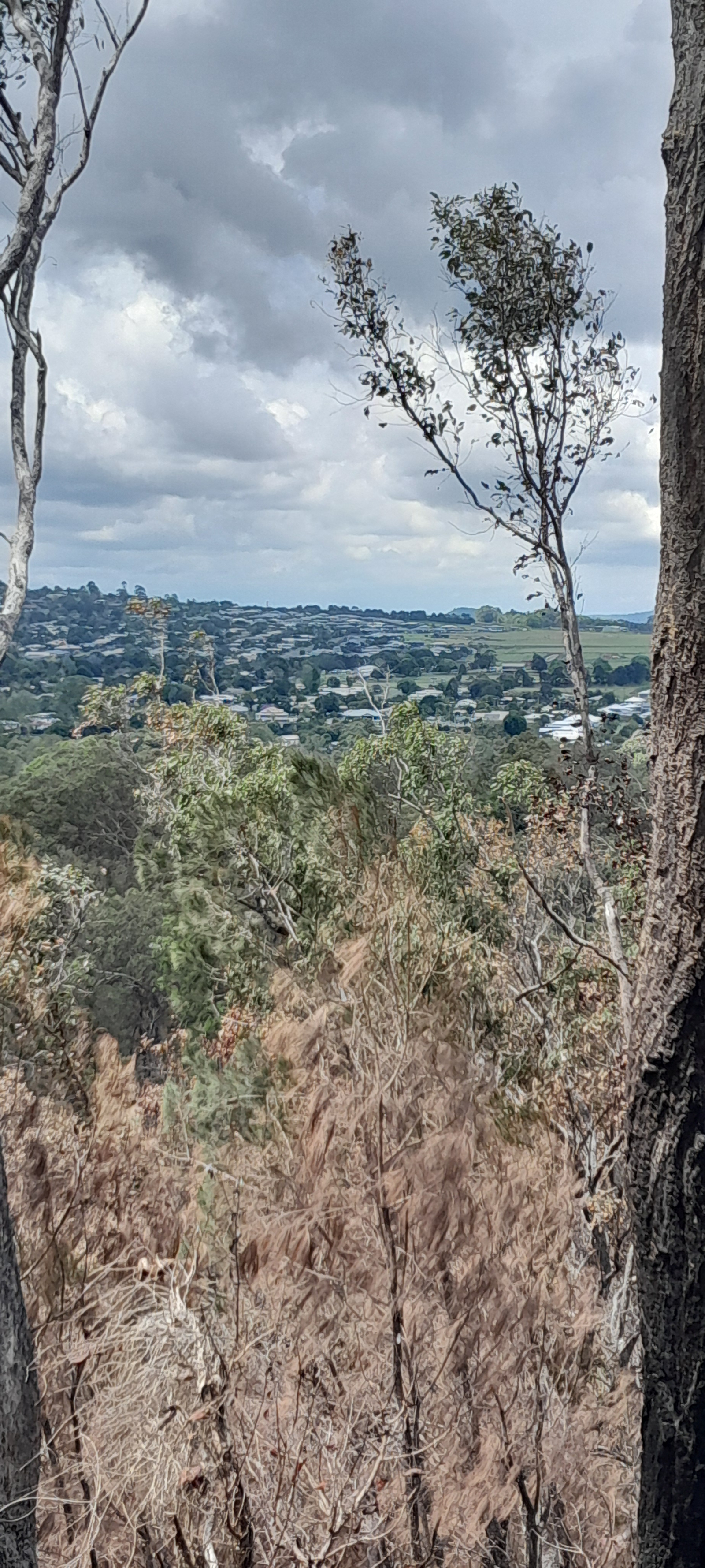 View of Atherton form Mt Baldy