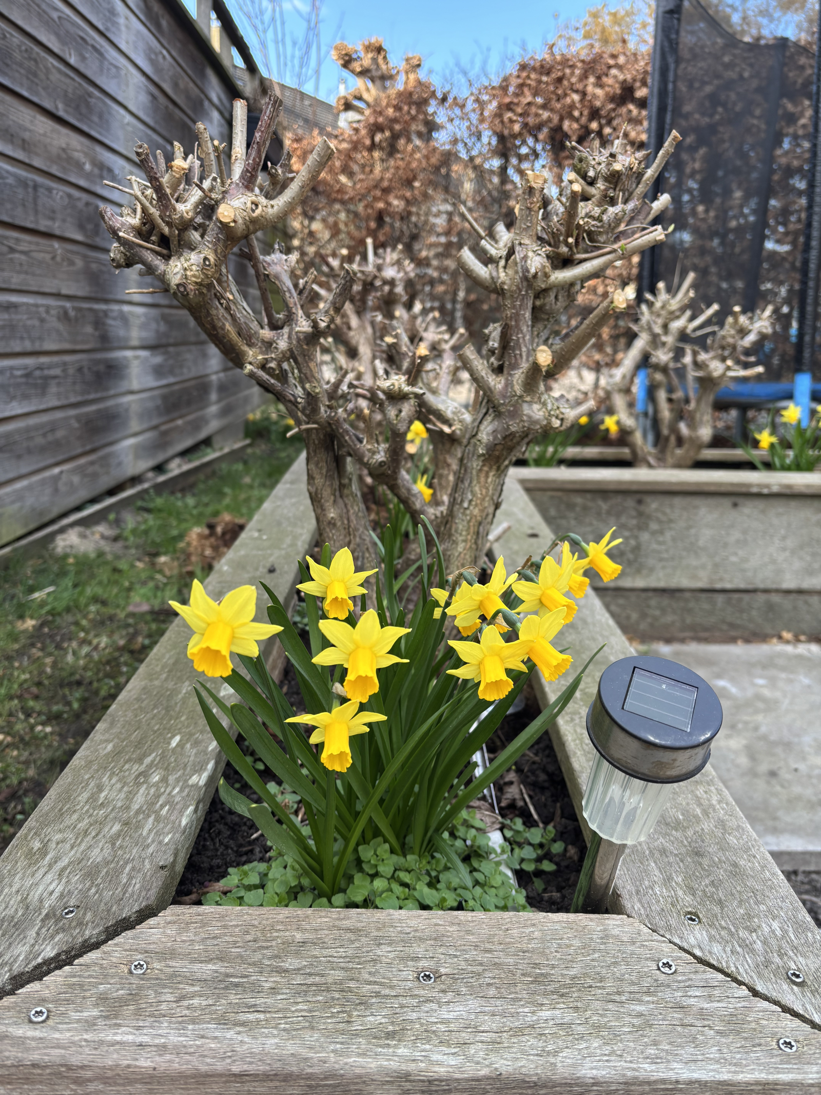 early signs of Spring