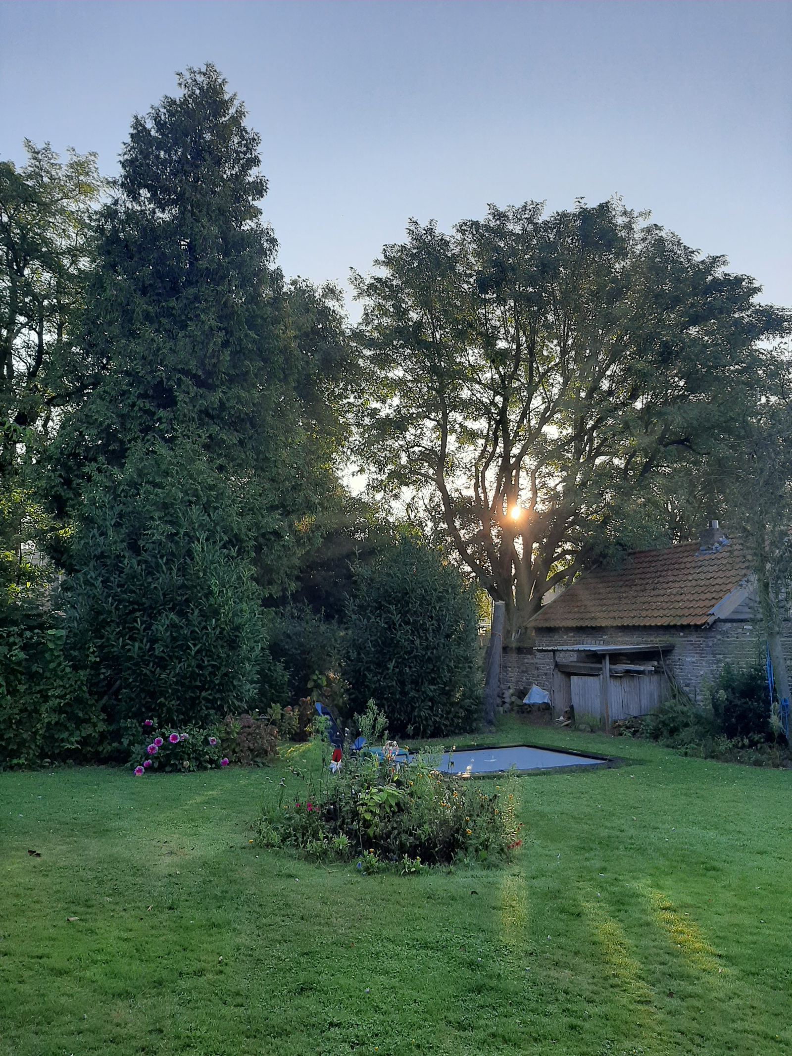 Bella casa con 2 camere da letto con un enorme giardino e vista sul mulino a vento olandese