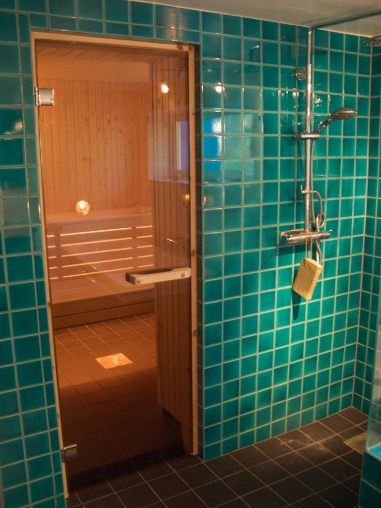 In de natuurlijke omgeving dicht bij het centrum van Stockholm