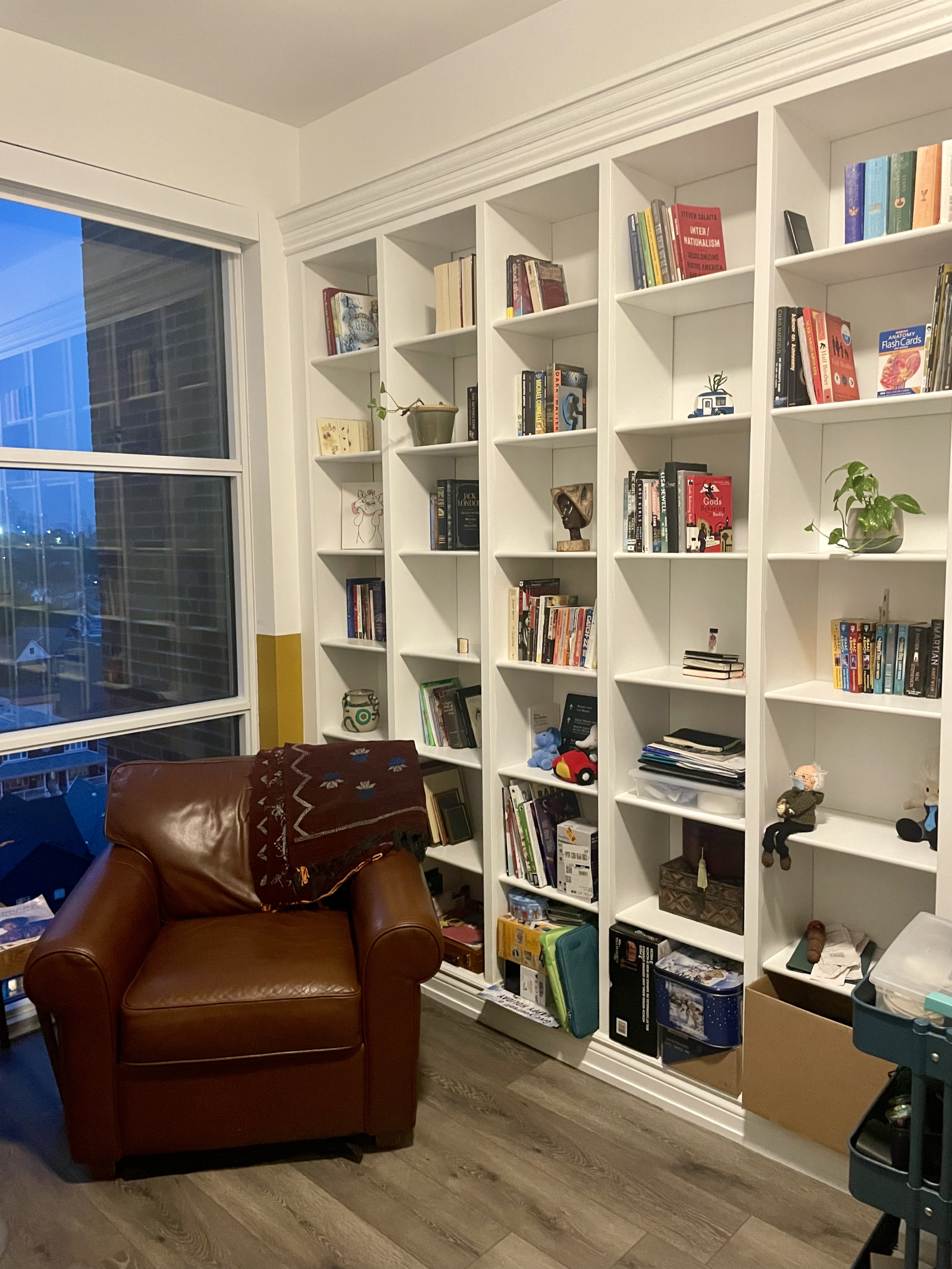 Bright & Spacious South-Facing Home in the Junction Toronto