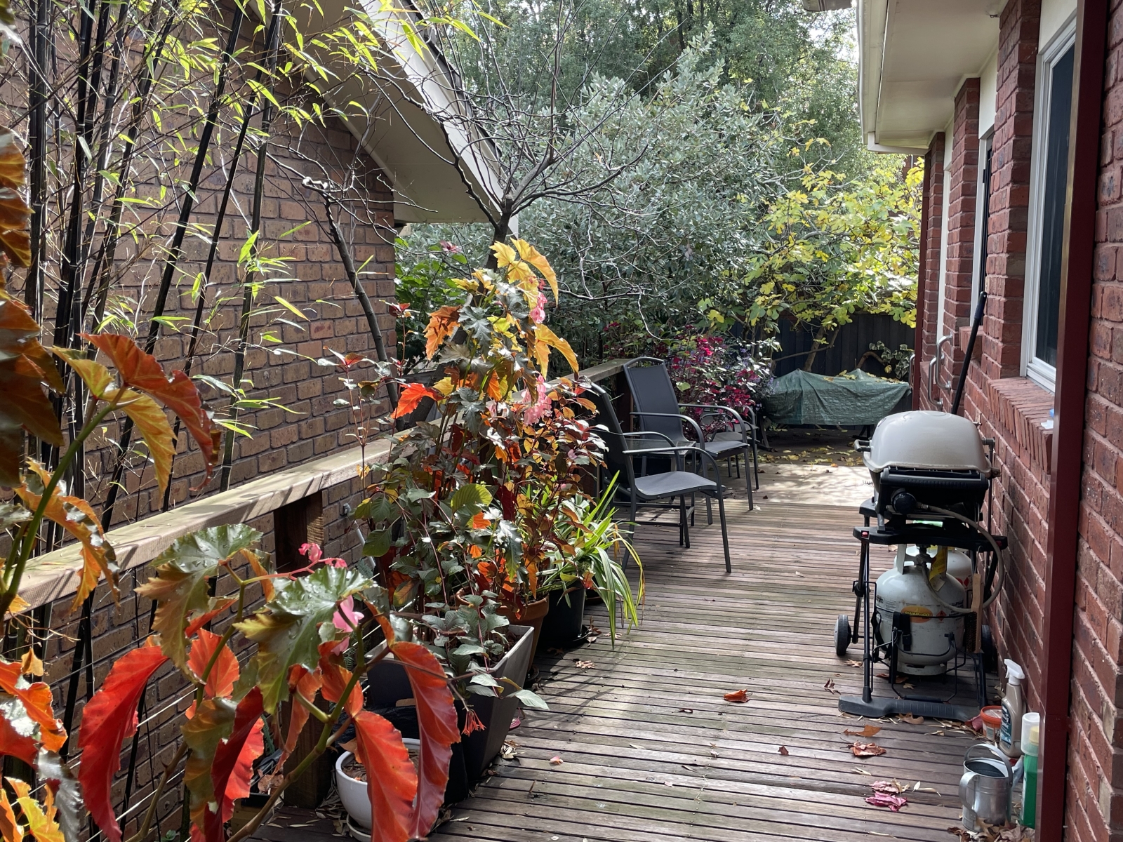 Family home in quiet leafy setting