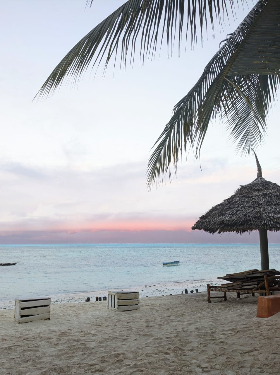 Zanzibar- dog incl. in 3 bedroom house on Zanzibar- 200 m from a  beautiful beach.