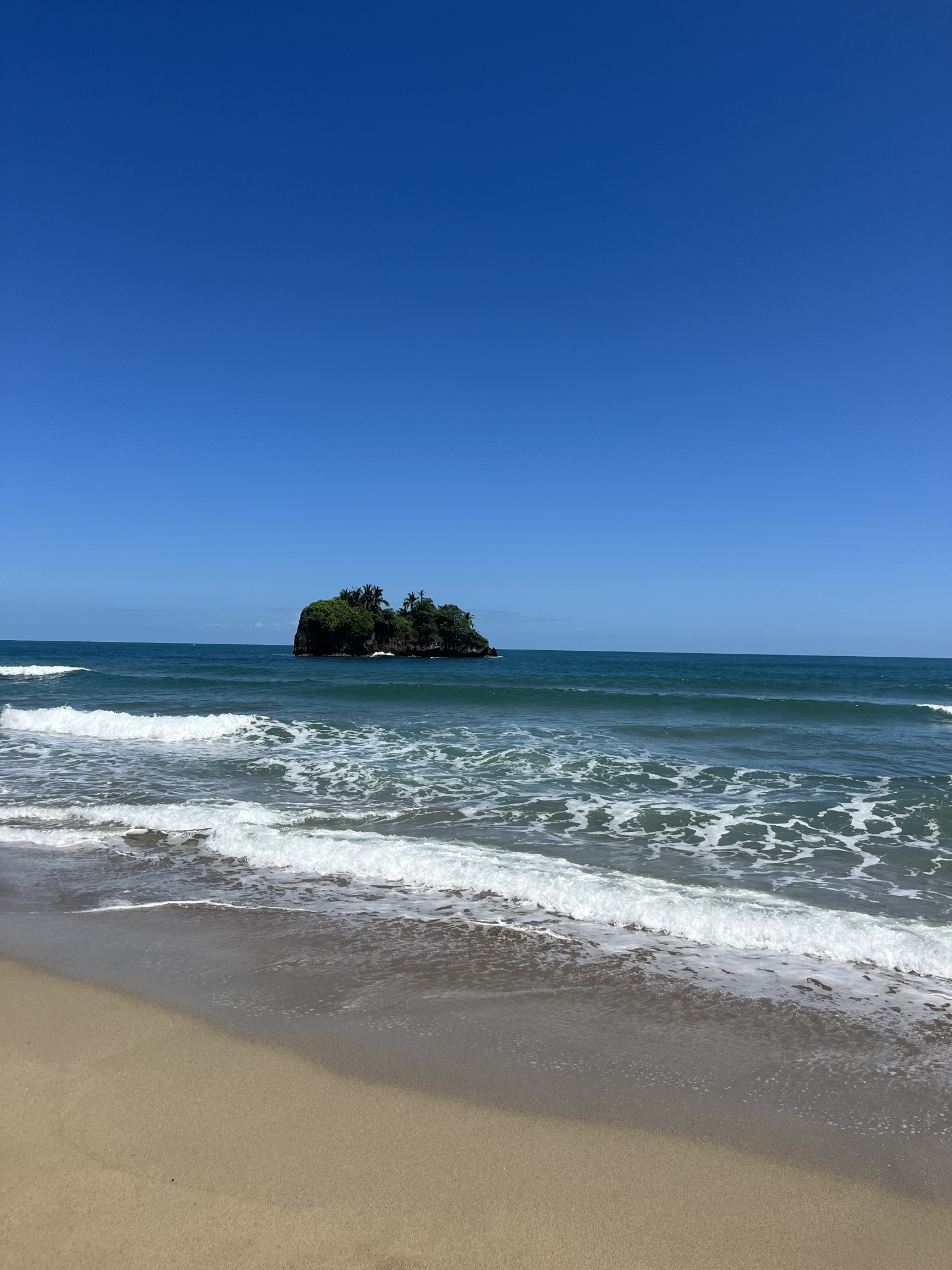 Beach house in the jungle of the Caribbean coast of Costa Rica