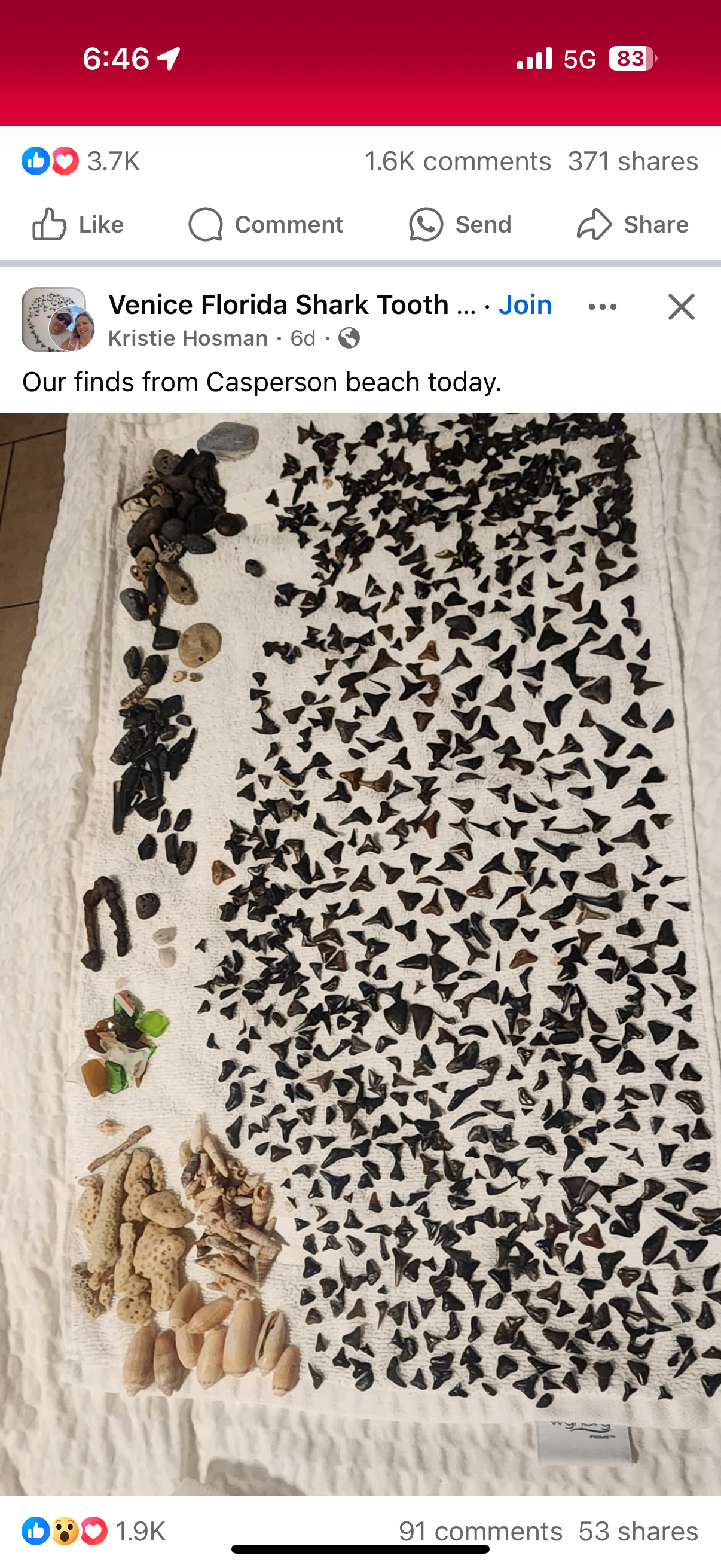 Minimalistisches Stadthaus 3 Meilen vom Strand entfernt