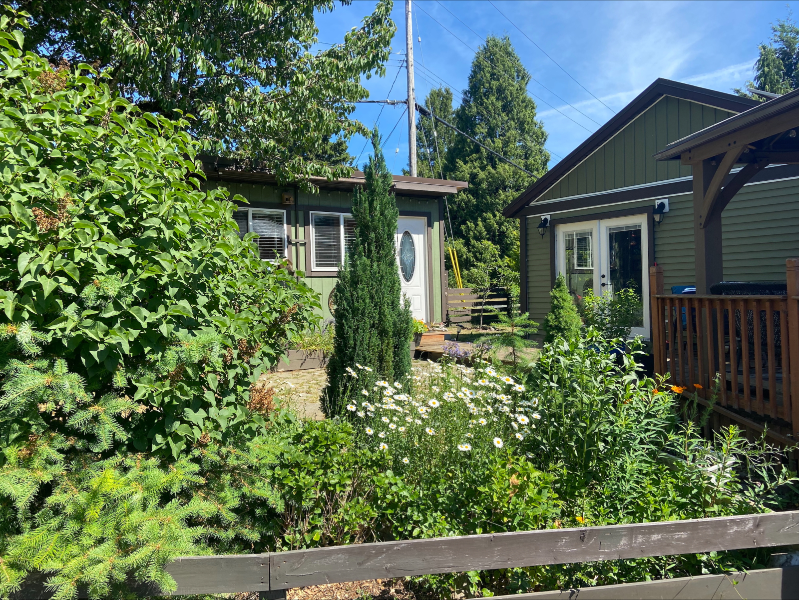 Garden in back yard