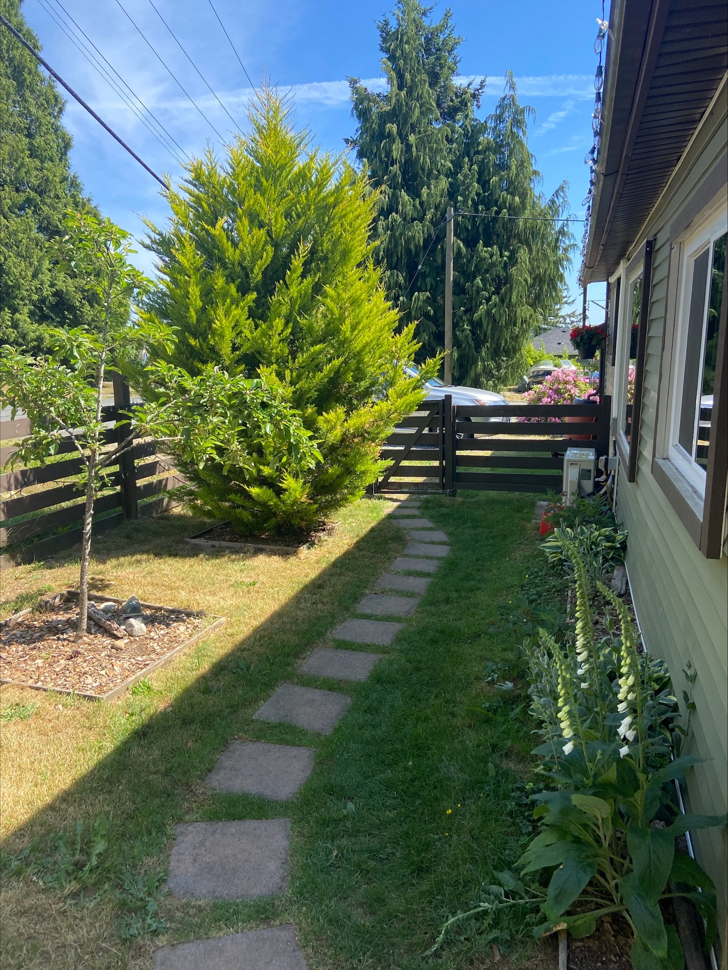 Path from back yard and cabin to parking area