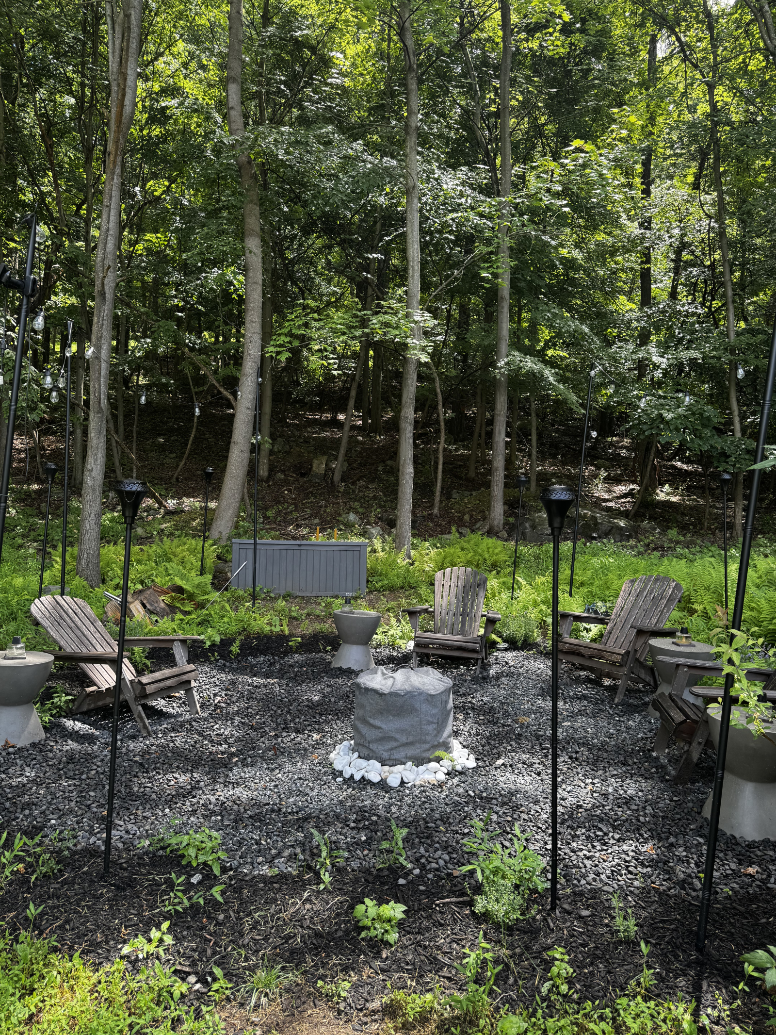 Peaceful and secluded forest getaway