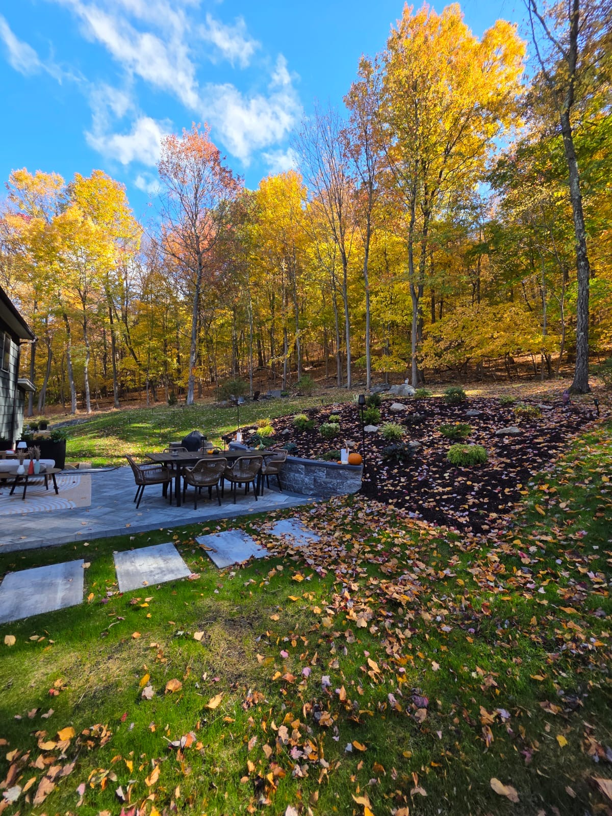 Peaceful and secluded forest getaway