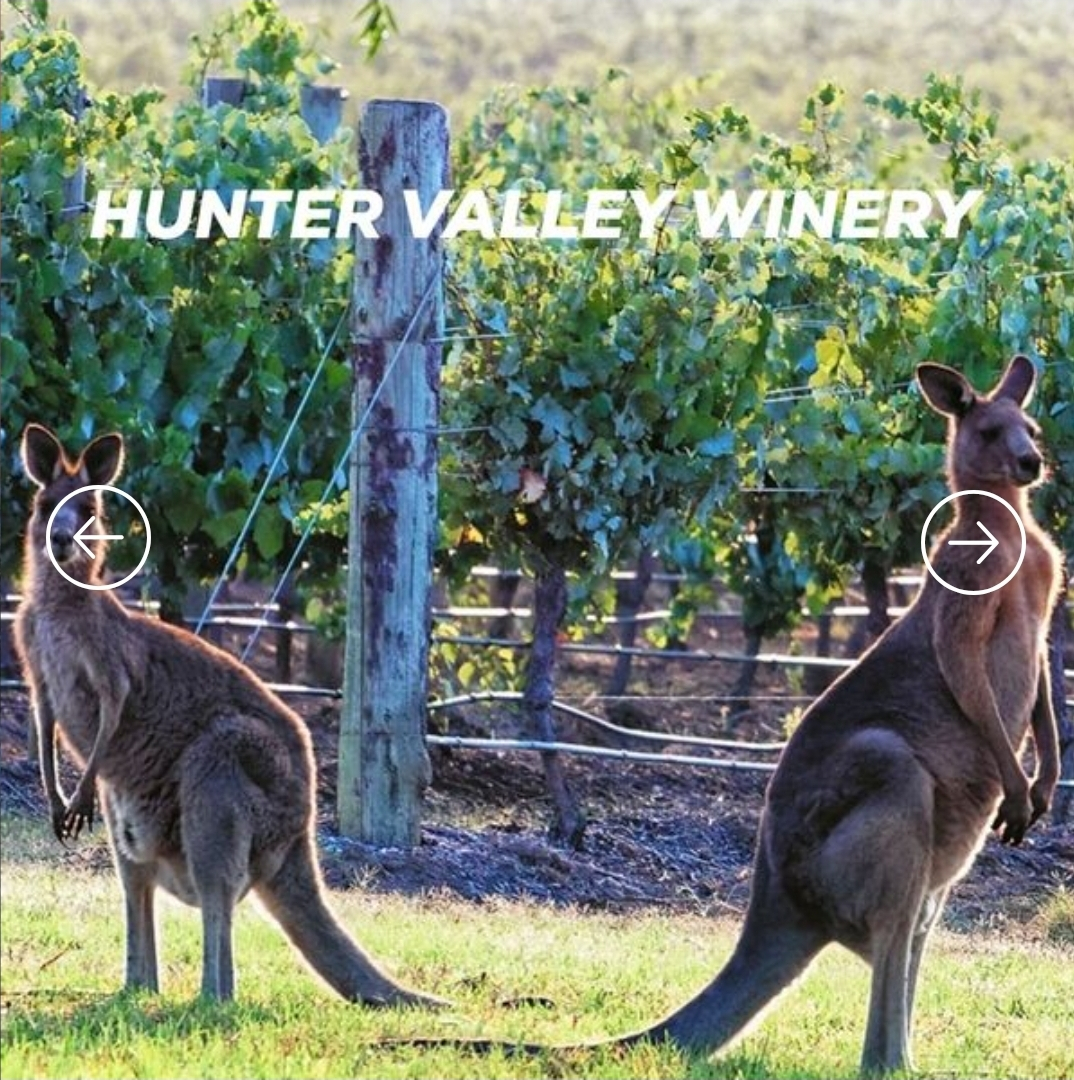 Coastal, Country & Wine Region Escape – 3-Bedroom
