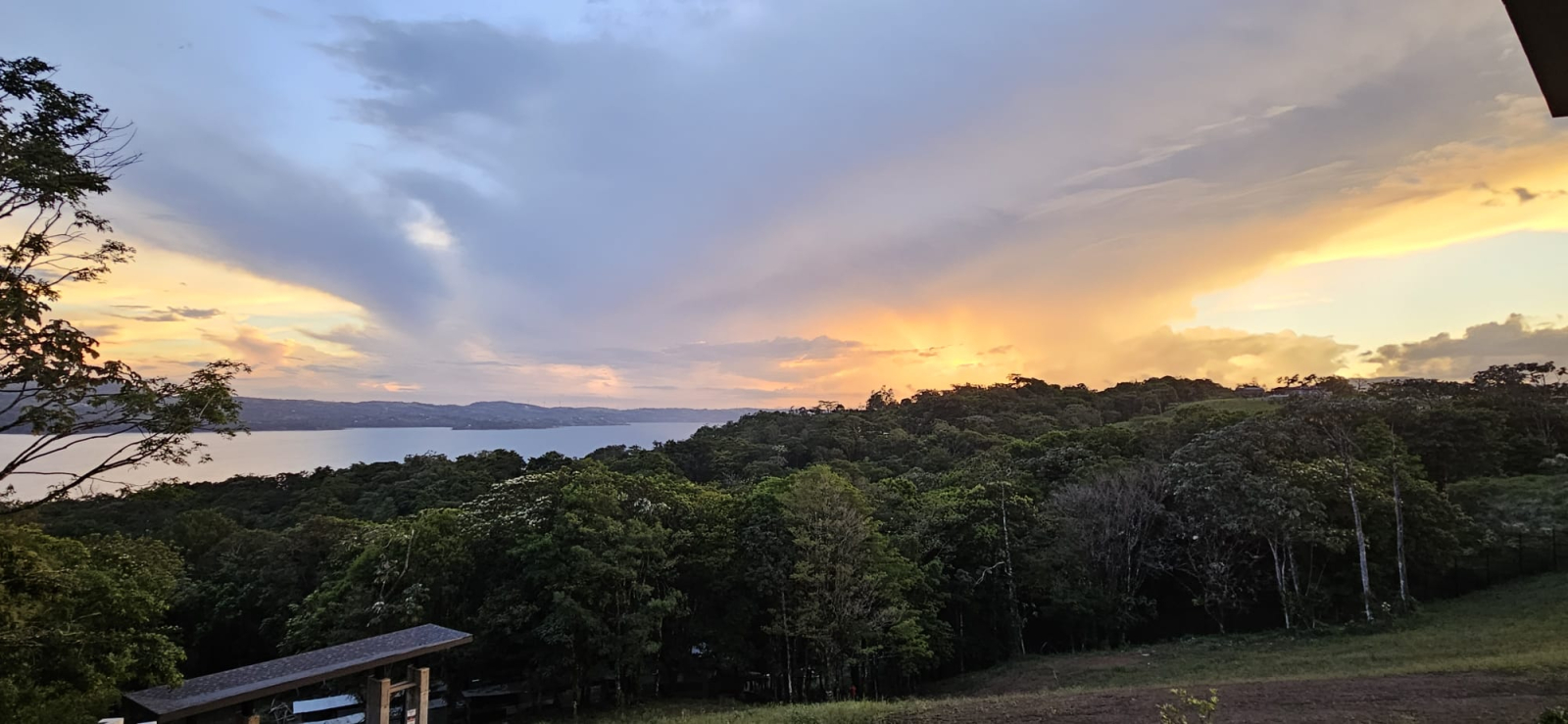 bird watching paradise, centrally located, million dollar lake, jungle and mountain views.