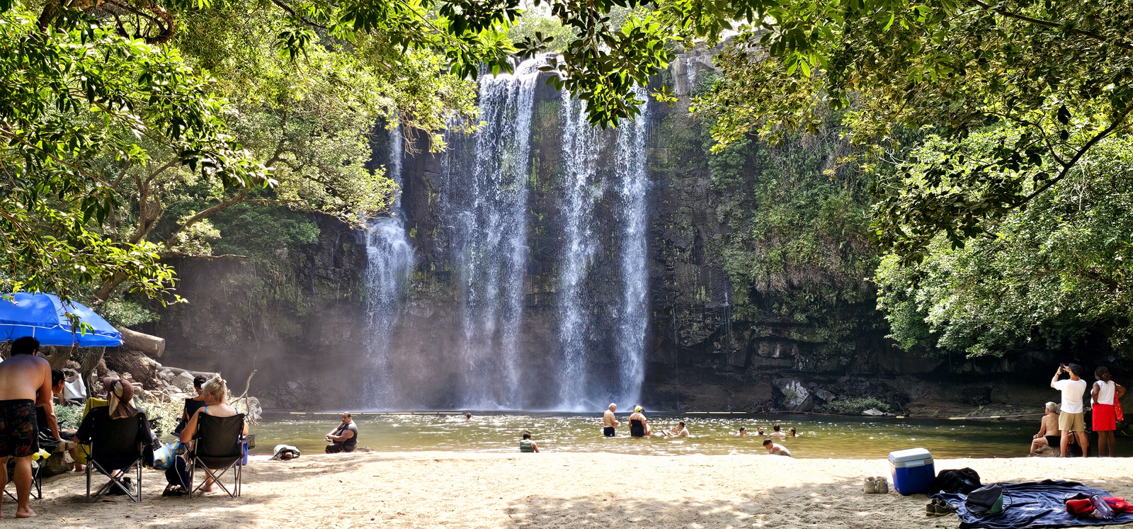 bird watching paradise, centrally located, million dollar lake, jungle and mountain views.