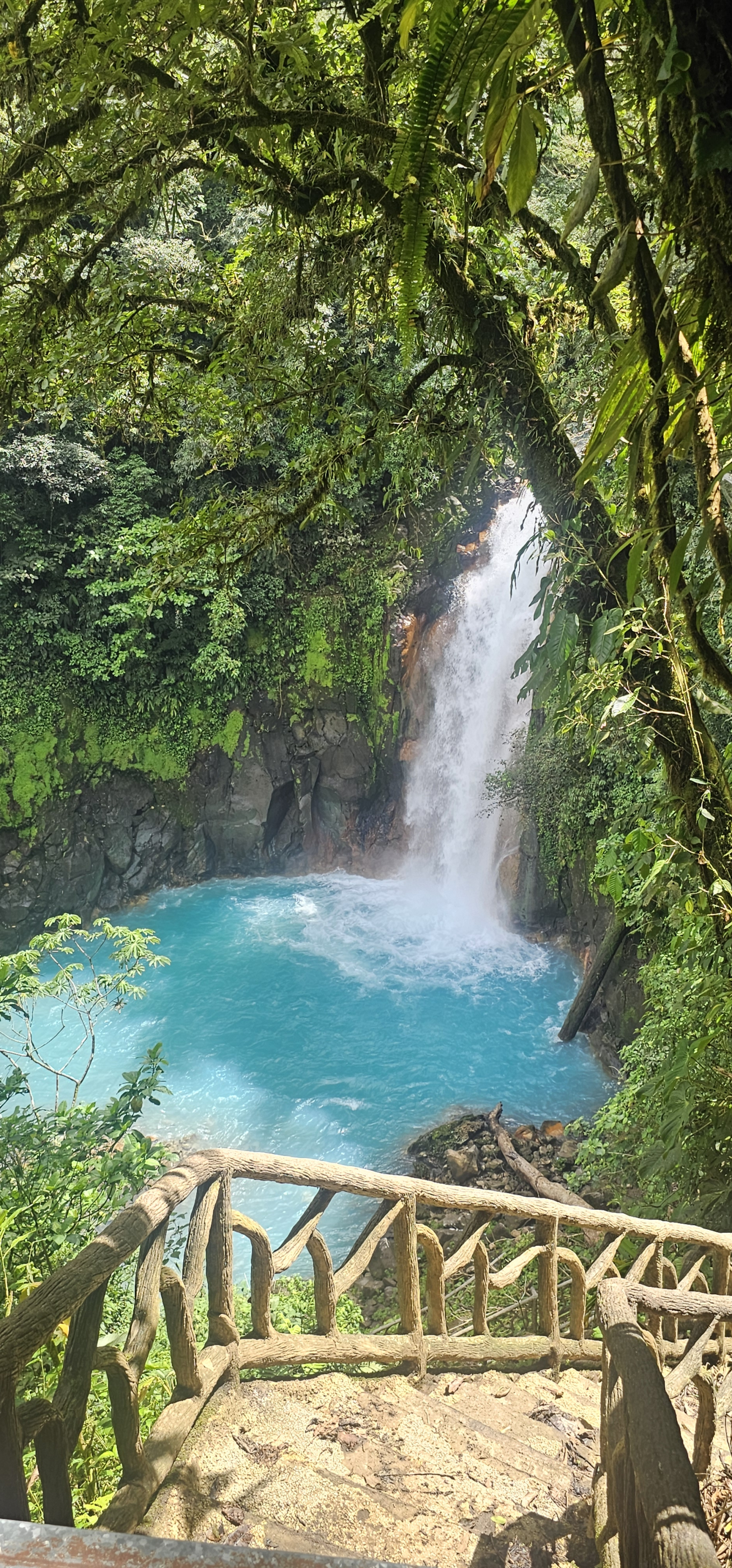 bird watching paradise, centrally located, million dollar lake, jungle and mountain views.