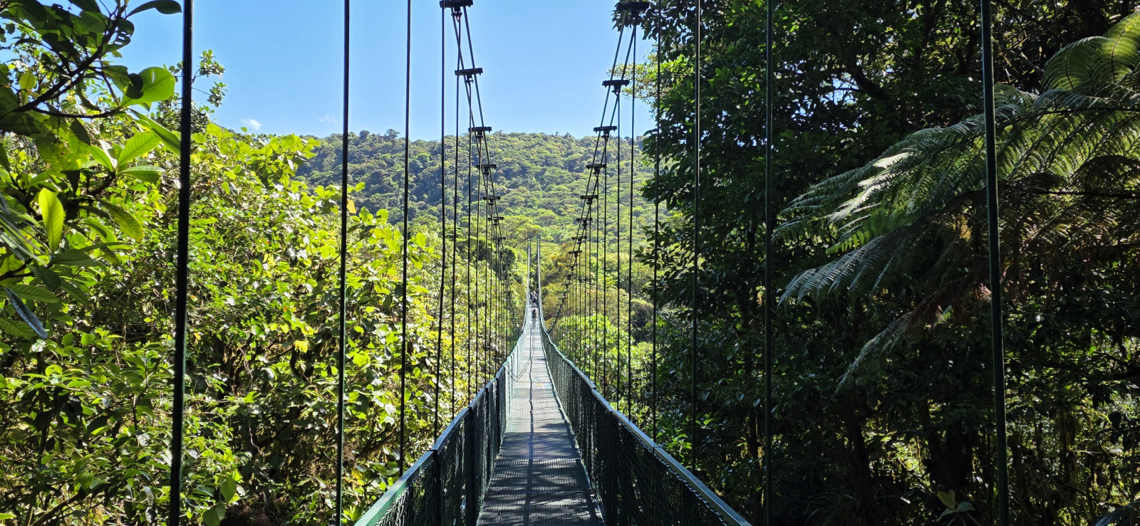 bird watching paradise, centrally located, million dollar lake, jungle and mountain views.