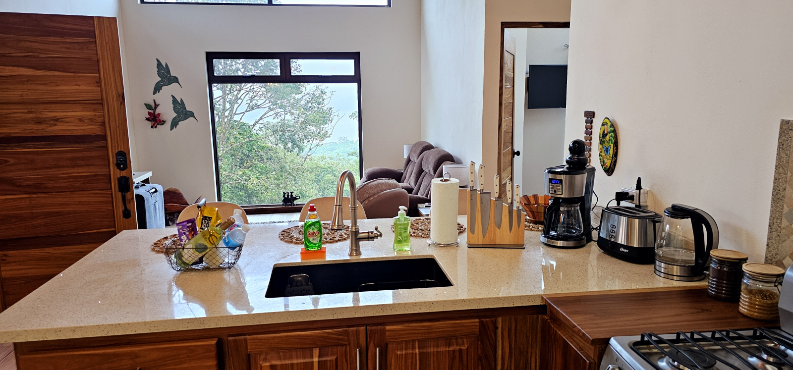 bird watching paradise, centrally located, million dollar lake, jungle and mountain views.
