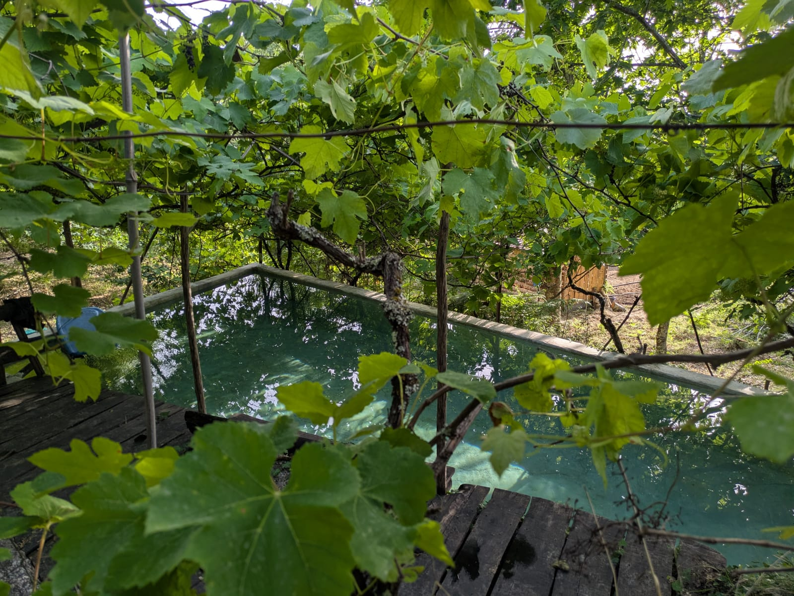 Eco-huis genesteld tussen de bomen