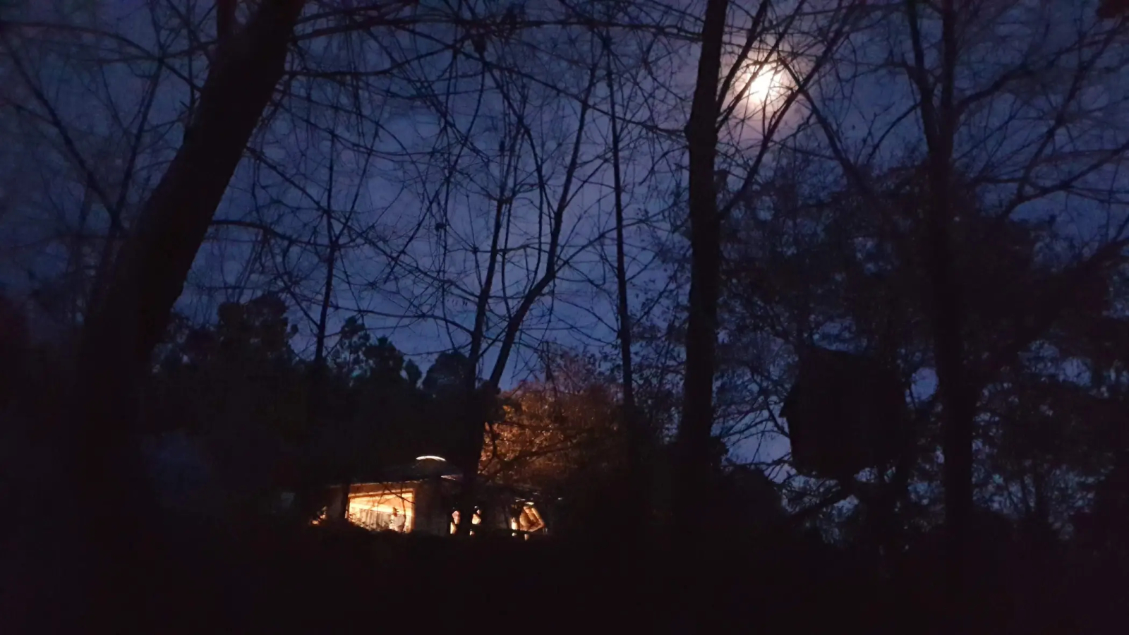 Eco-huis genesteld tussen de bomen