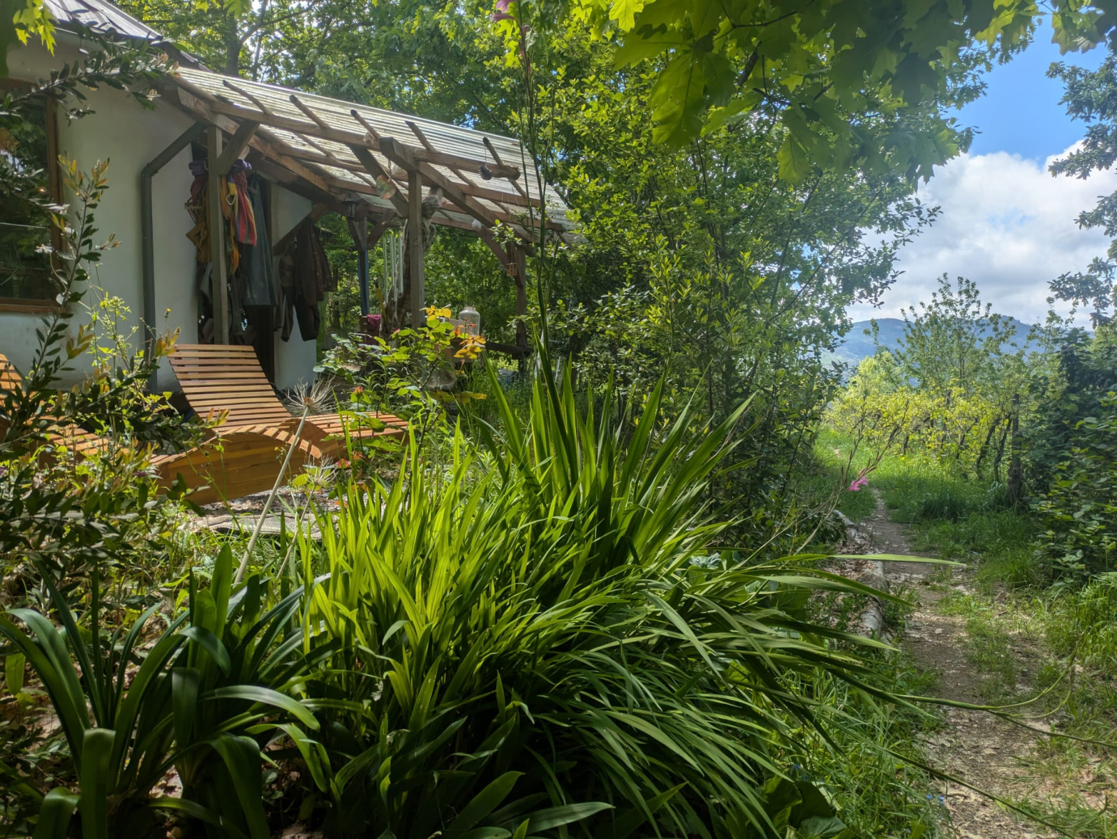 Eco-huis genesteld tussen de bomen