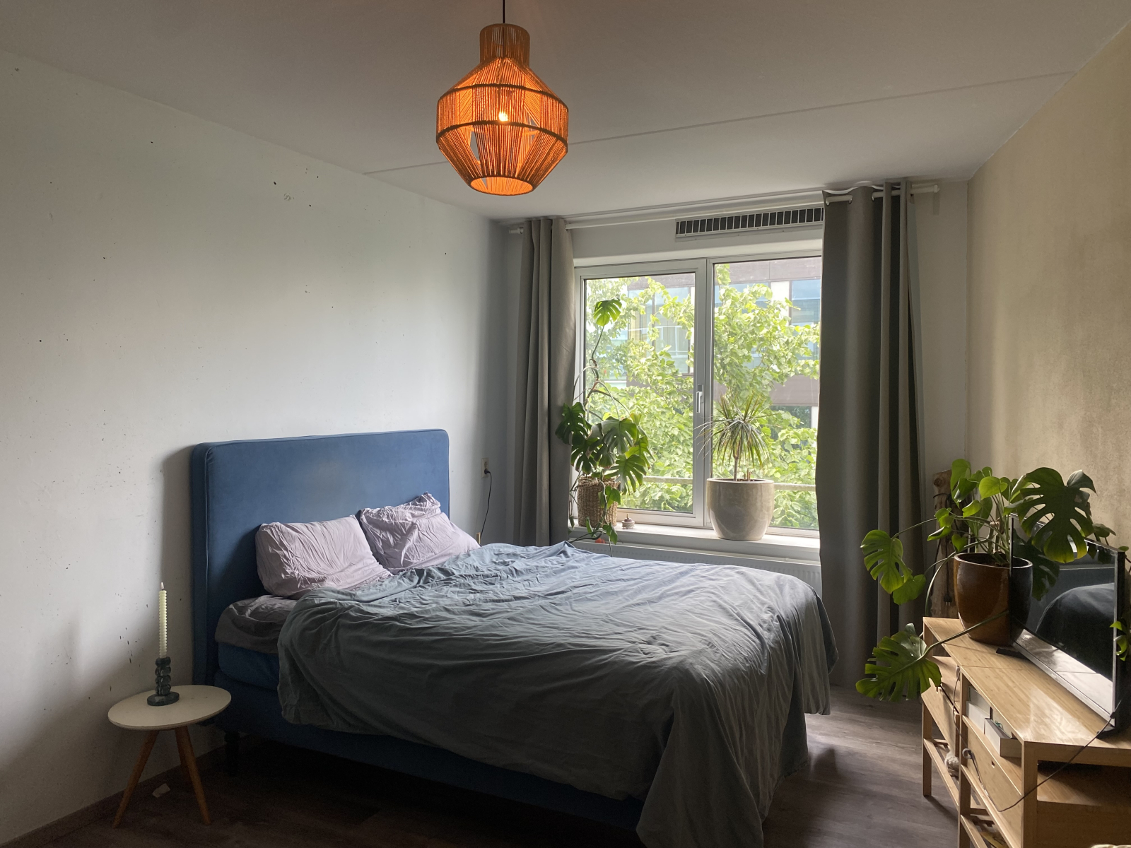 House full of light and life, 10 minutes from Amsterdam central