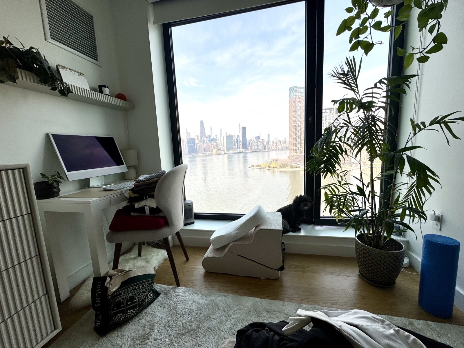 Stunning Brooklyn High Rise on the East River