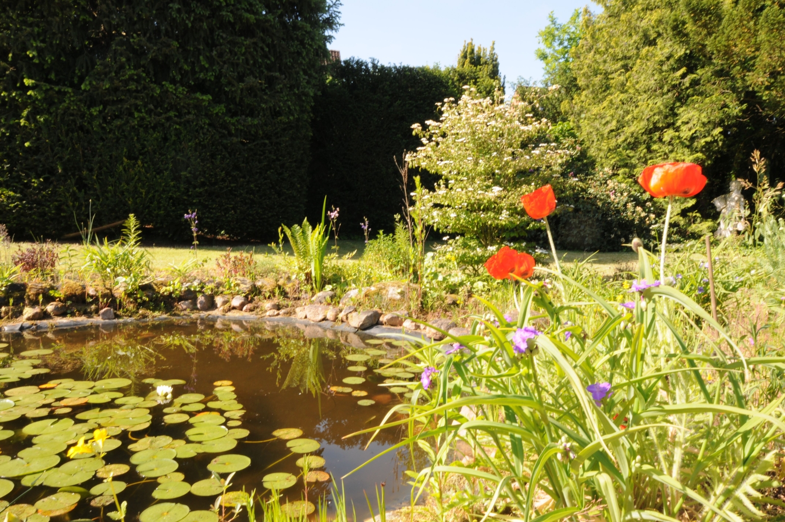 Between the seas: beautiful bungalow on the Kiel Canal