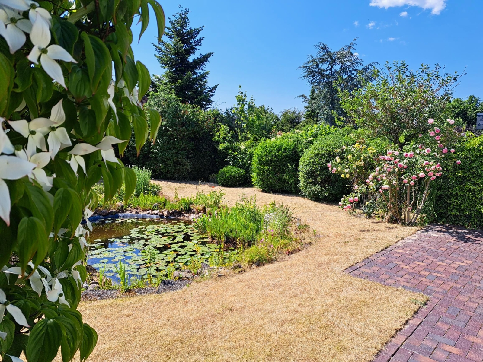 Between the seas: beautiful bungalow on the Kiel Canal