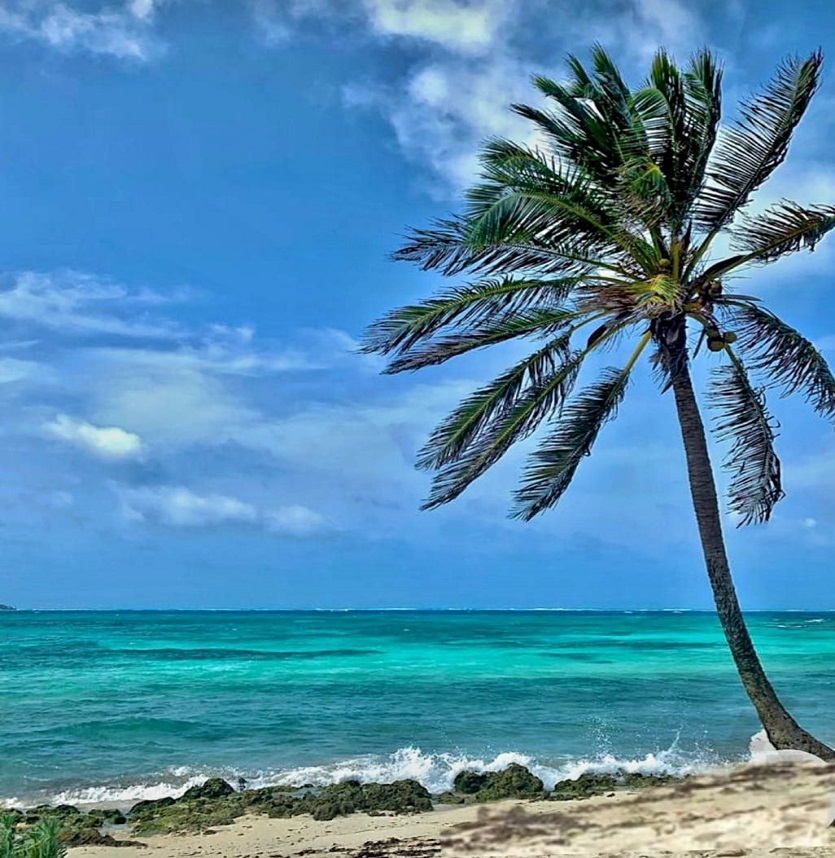 Appartement en bord de mer. Îles San Andrés, Colombie