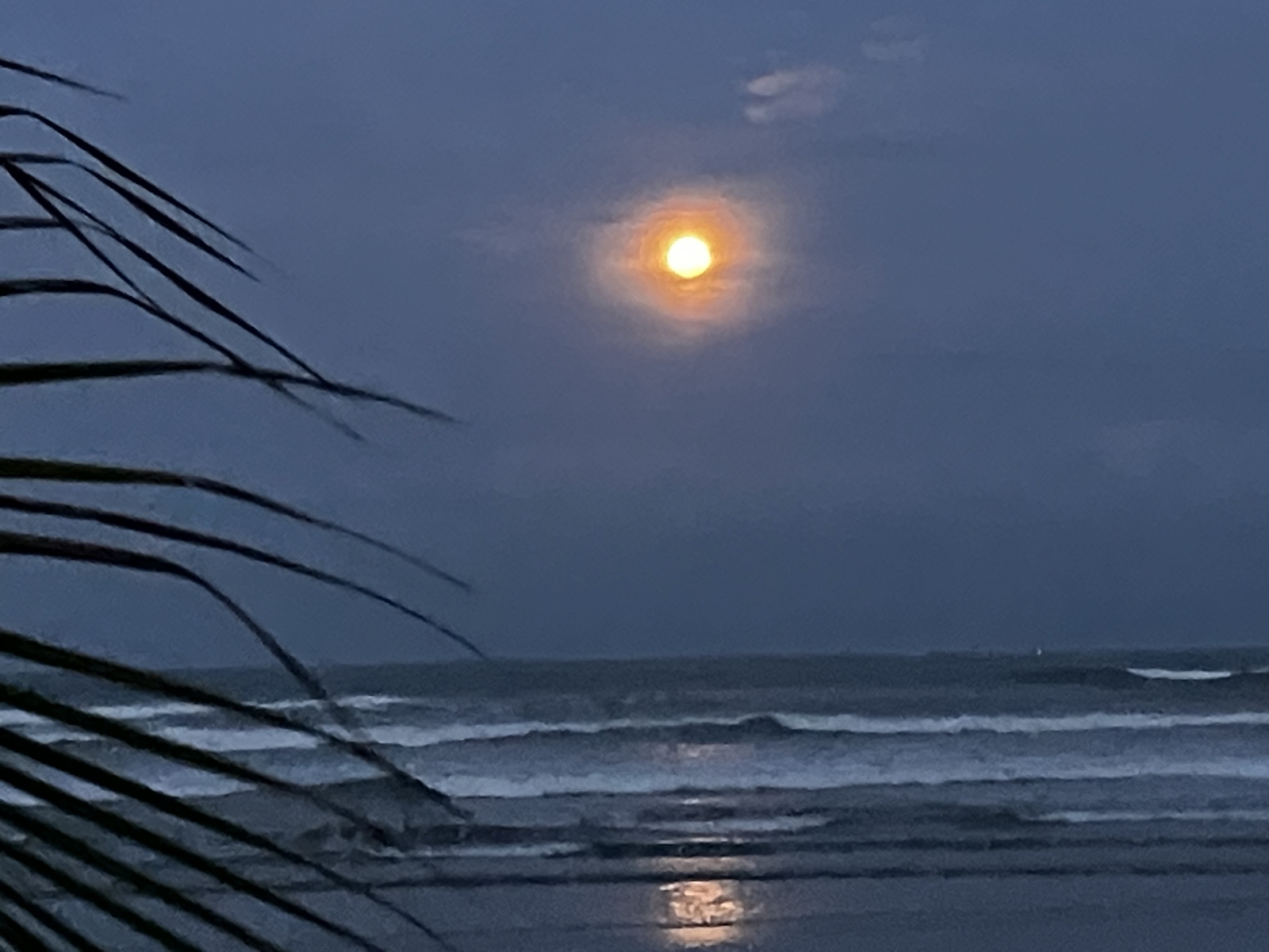 BEACH SIDE PARADISE