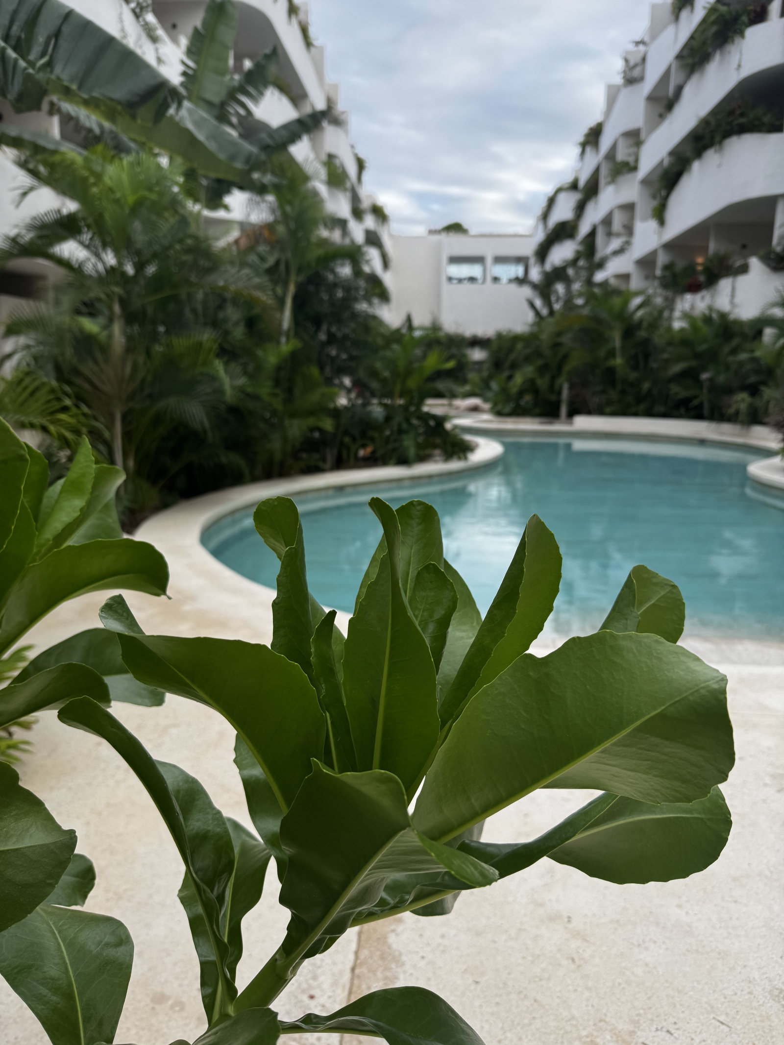 Welcome to my brand-new, fully furnished condo-hotel apartment in Tulum.