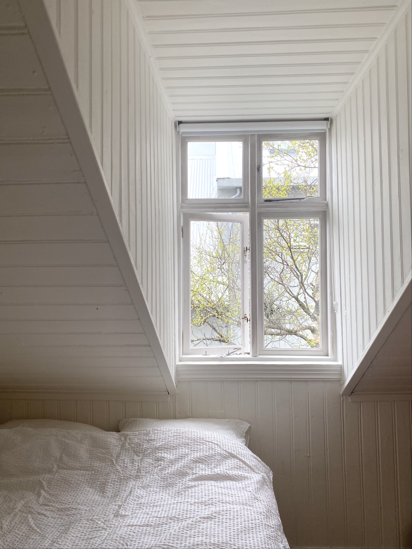 Quiet sanctuary in the heart of Reykjavík