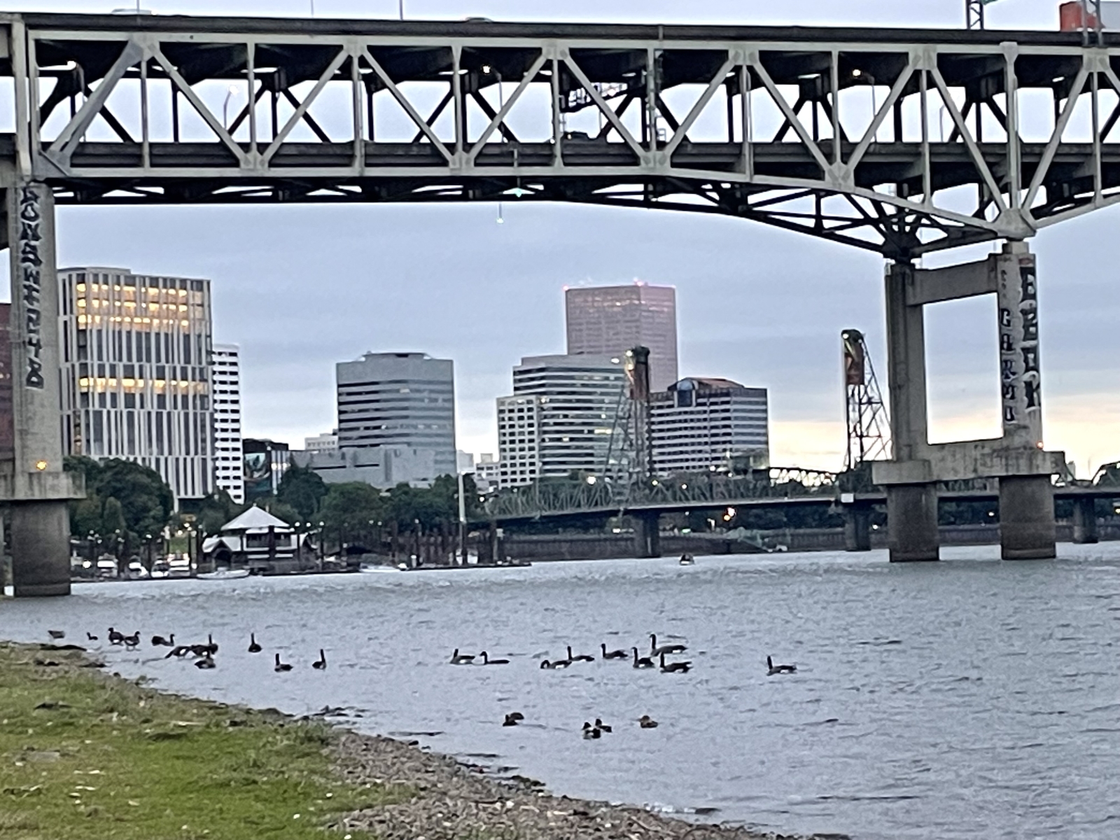 Urban waterfront 3 bedroom