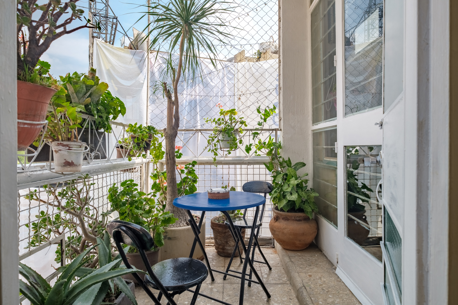 Breezy shared terrace with stunning 5th-floor city views. Connected directly to Rooms king size & 2 queen size beds 100% dog-friendly! ☕️🐶