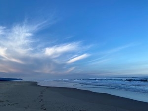 Évadez-vous sur la côte de l’Oregon à Bayshore Sunsetter !