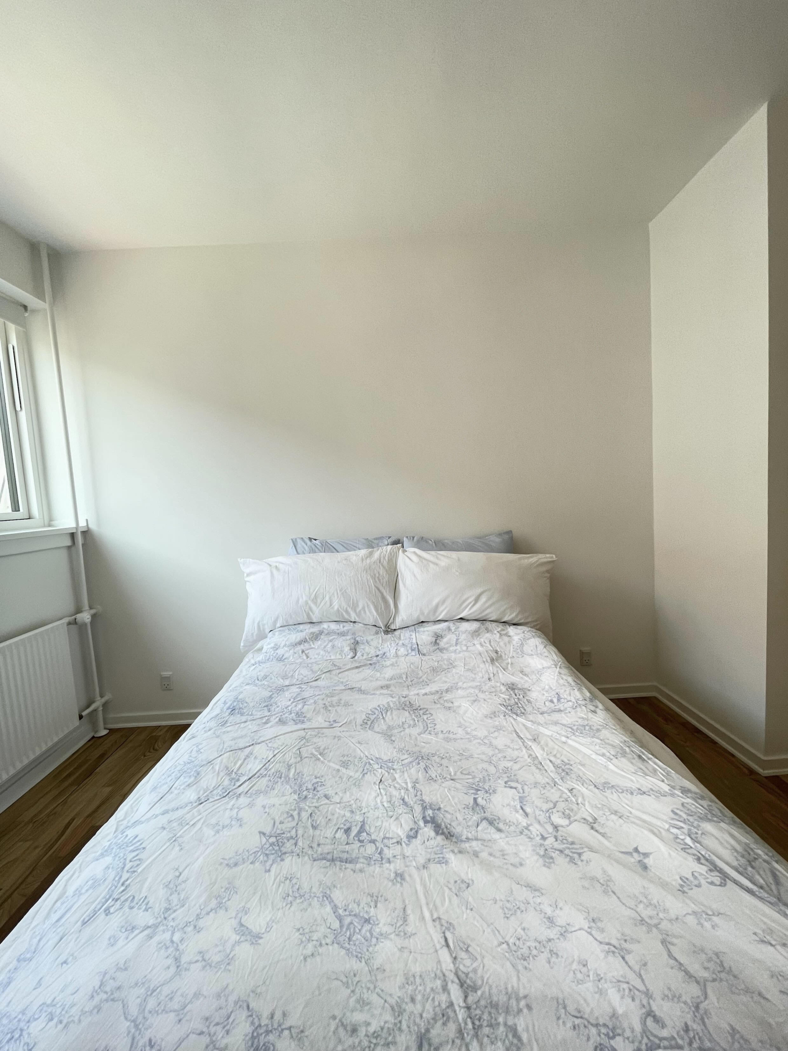 Big newly renovated Copenhagen apartment with balcony